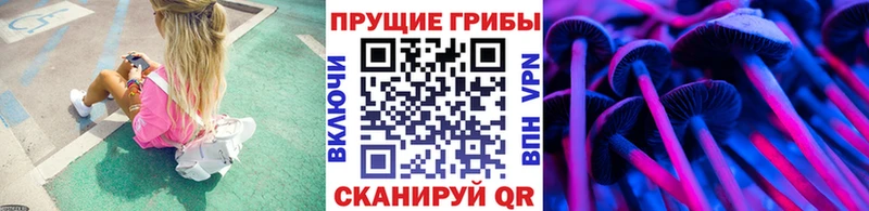 магазин продажи наркотиков  Батайск  Галлюциногенные грибы прущие грибы 
