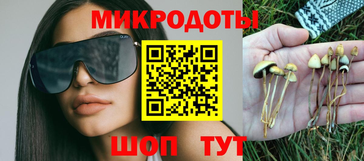 Псилоцибиновые грибы Cubensis Батайск